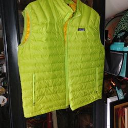 Patagonia Down Vest