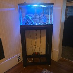 Fish Tank 