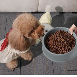 Ceramic Dog Cat Pet Bowl, Relief Dog Paw Pattern, Puppy Dog Food Dish, Porcelain Pet Slow Feeder Water Bowl (20 Fl Oz, Turquoise)