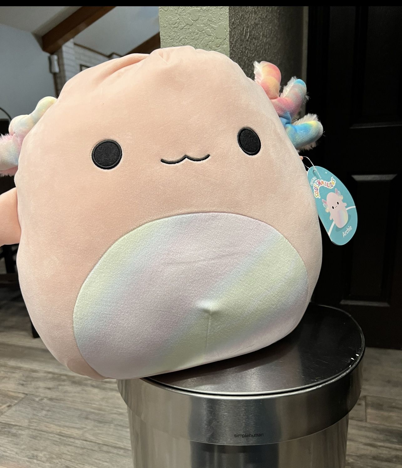 Squishmallows Archie The Axolotl Brand New