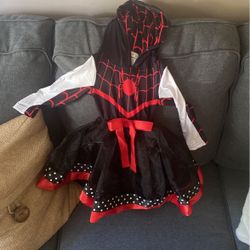 Spider-Man Halloween Costume 