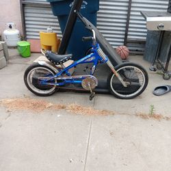 Shwinn Stingray Bike
