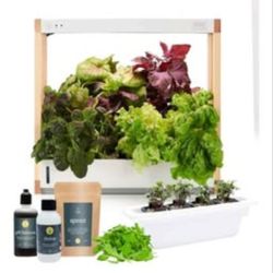 Rise Hydroponic Garden 