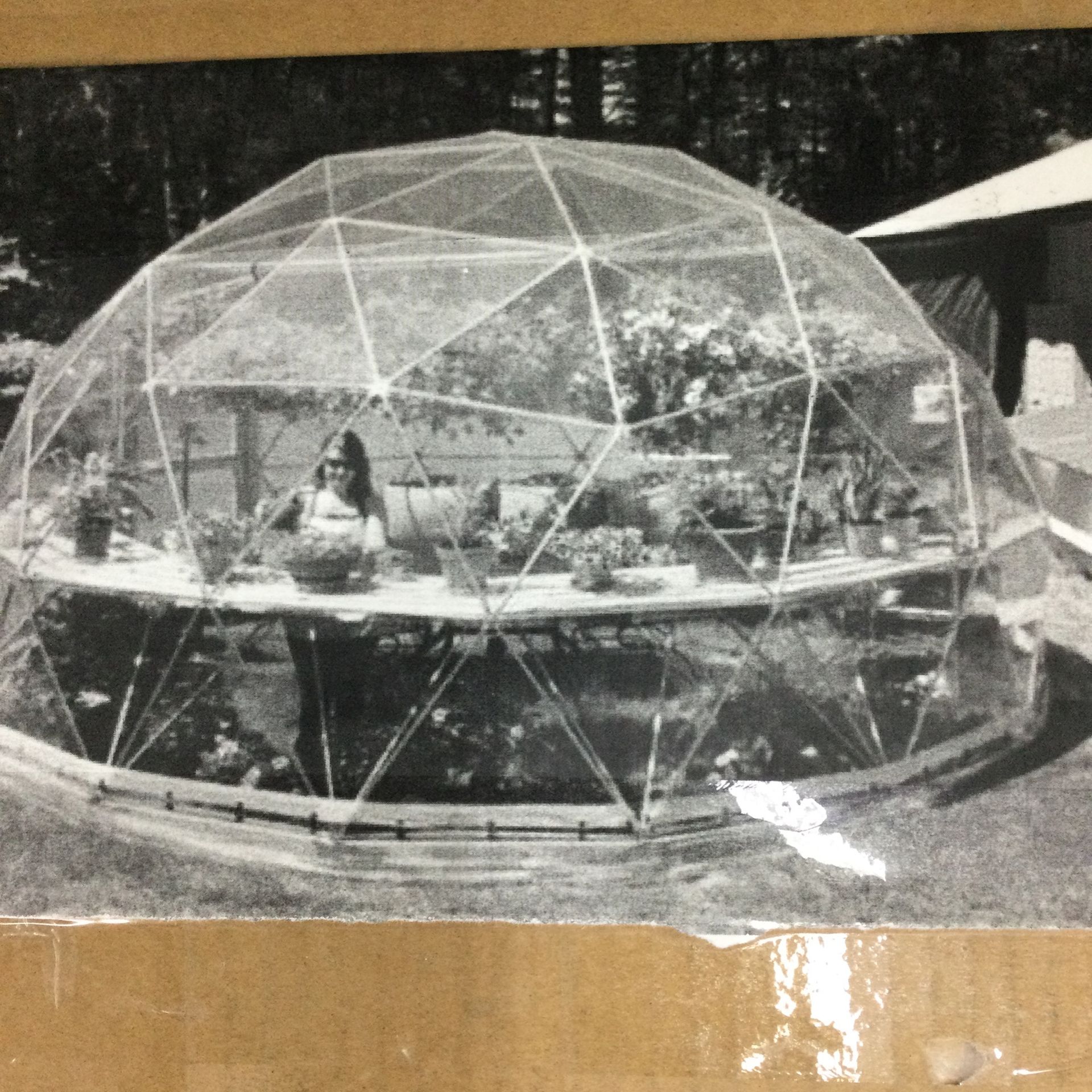 POP UP DOME