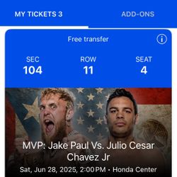 Chavez Vs Jake Paul