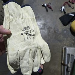 Black stallion leather gloves