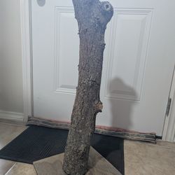 Natural Cat Scratching Post - 30"