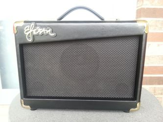 Esteban G-10 Guitar Amplifier