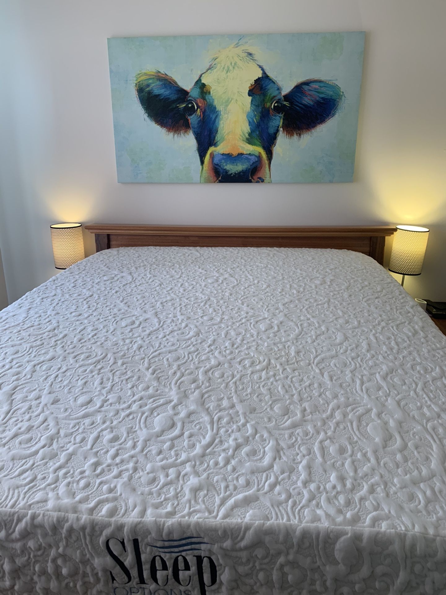 Sleep options queen cooling gel mattress