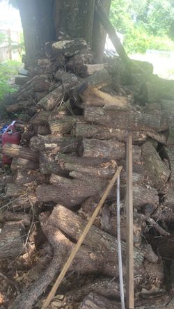 Free firewood