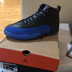 Air Jordan 12 Retro 