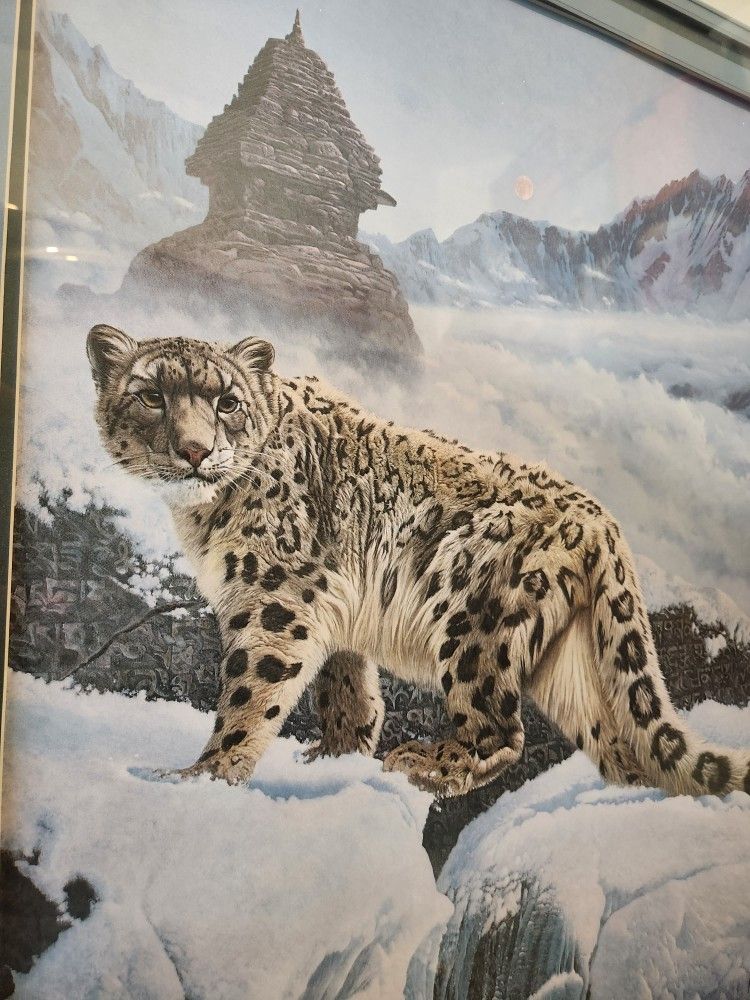 Snow Leopard Signed Print
