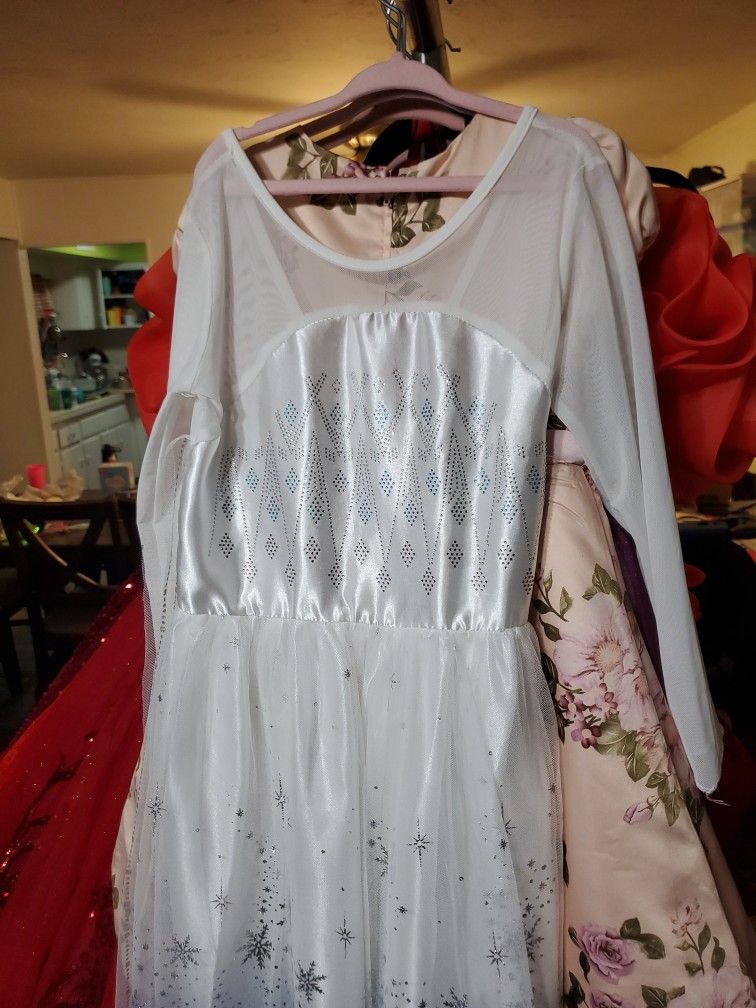 $5 Elsa Frozen Dress Size 6yrs