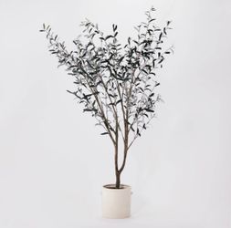 Threshold Olive Tree