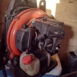Echo Blower 