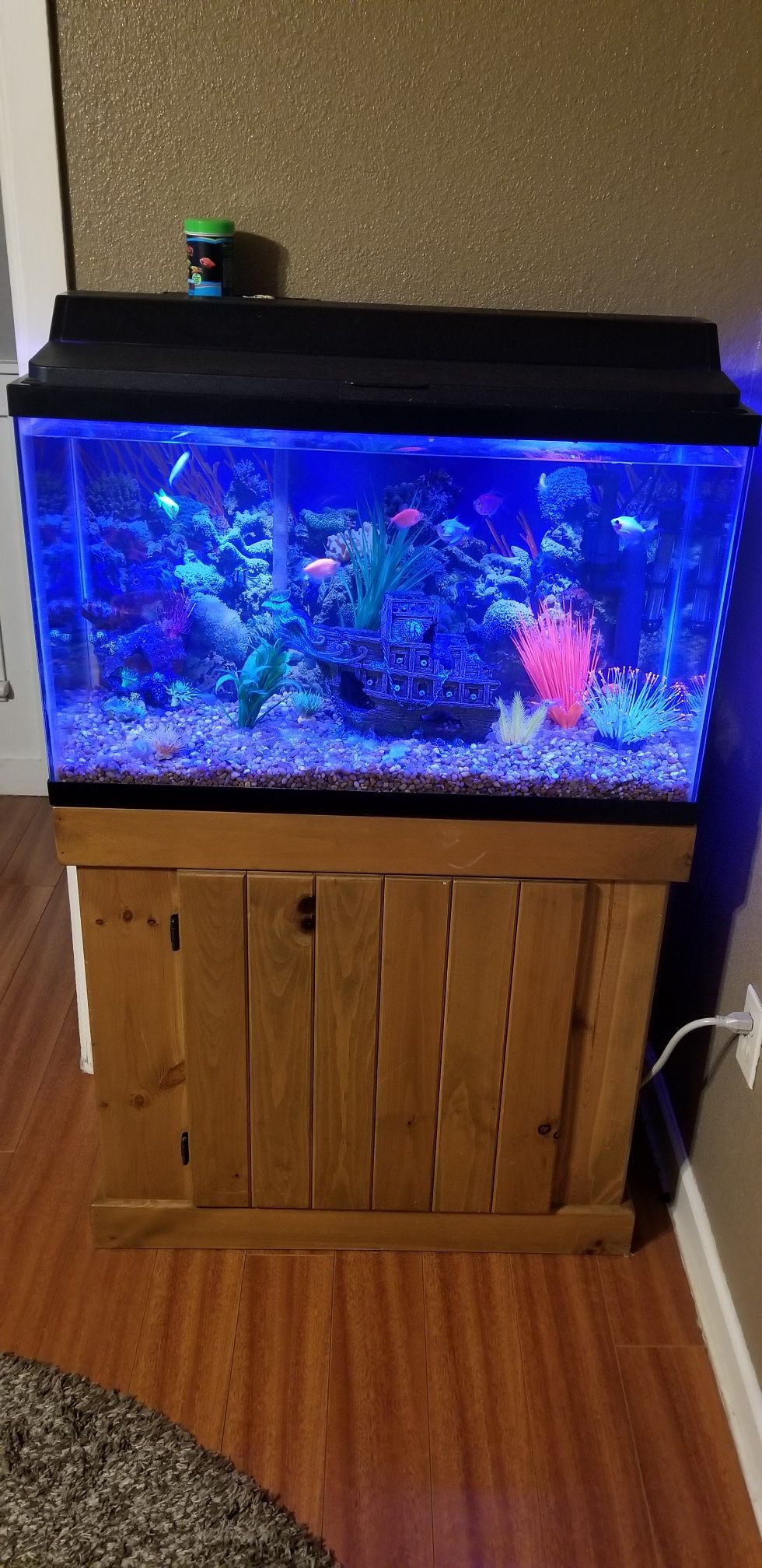38 gallon Fish tank with extra stuff