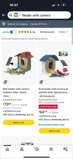 bird feeder with camera