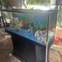 Aquarium full set up