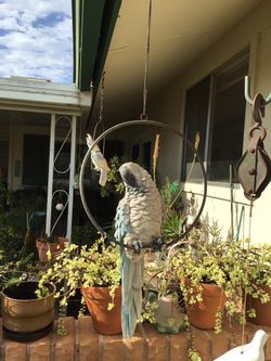 VINTAGE HANGING PARROT ON PERCH WITH CHAIN