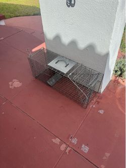 Steel Animal Trap 32”