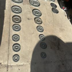 Weight Set! (355 Total Pounds)