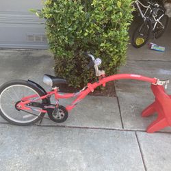 WeeRide Co Pilot Tagalong Children's Trailer Bike 