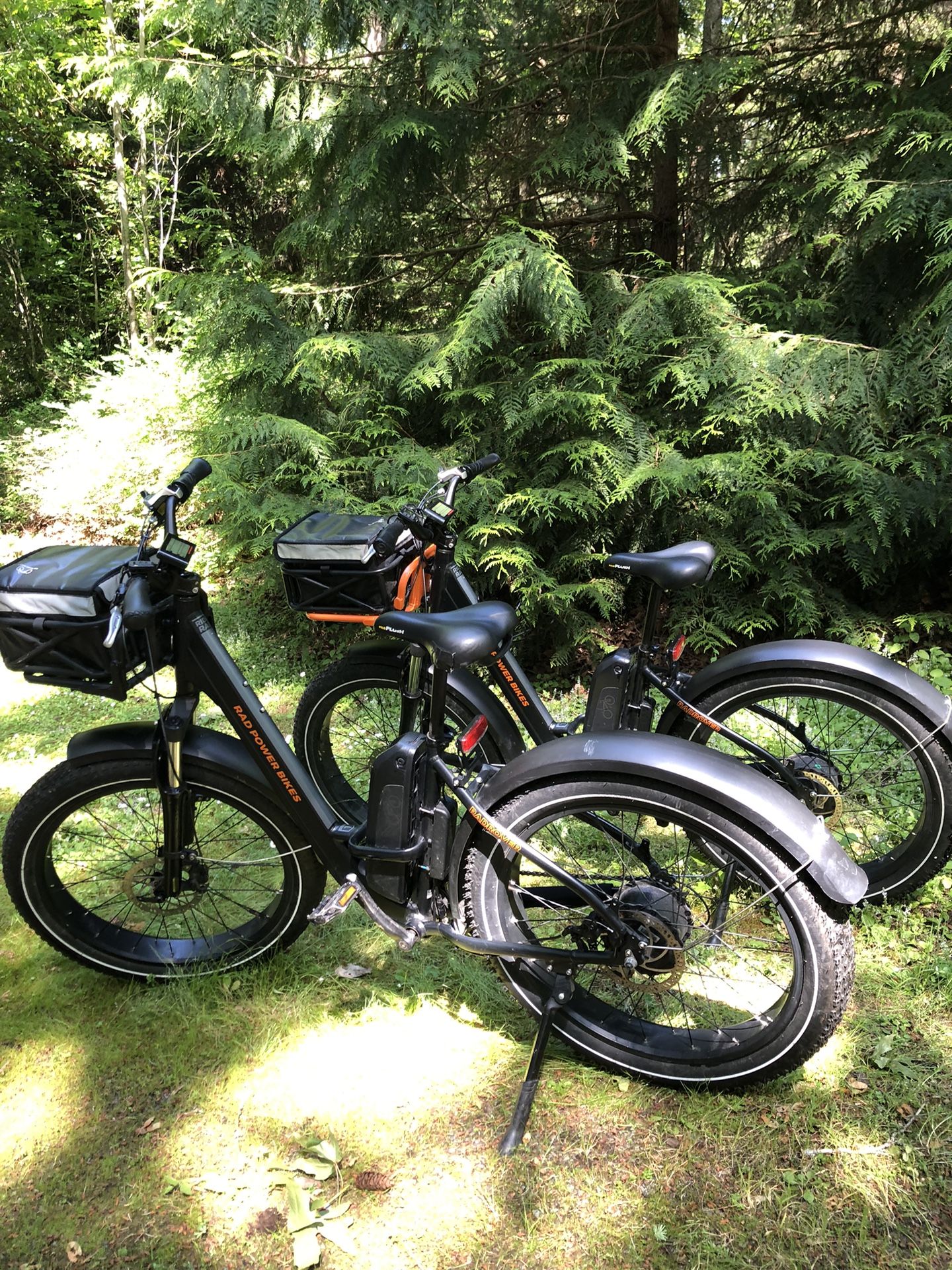 Pair of RadRover Electric Bikes + Hollywood Rack plus Extras for Sale ...