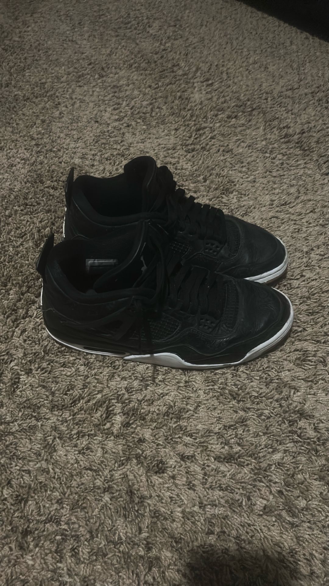 Jordan 4 (size 10)
