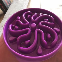 Slow Feeder Dog Bowl