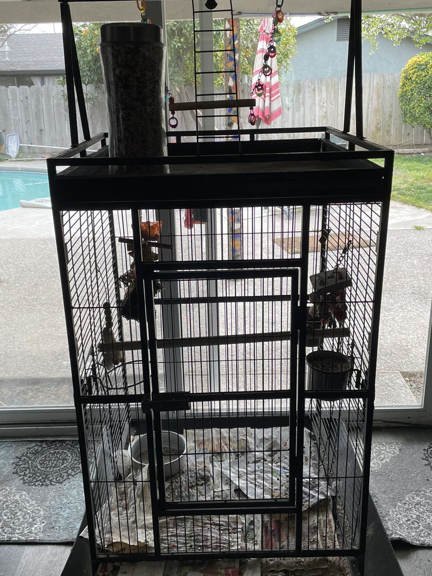 Cage and Bird