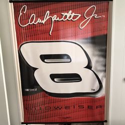 Dale Jr Flag 