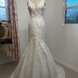 Designer Mermaid Gown 