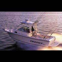 LOCAL FISHING TRIPS , 