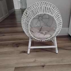 Cat Bed