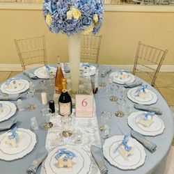 Dusty Blue Party Decorations 