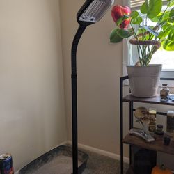 Standing Plant Light