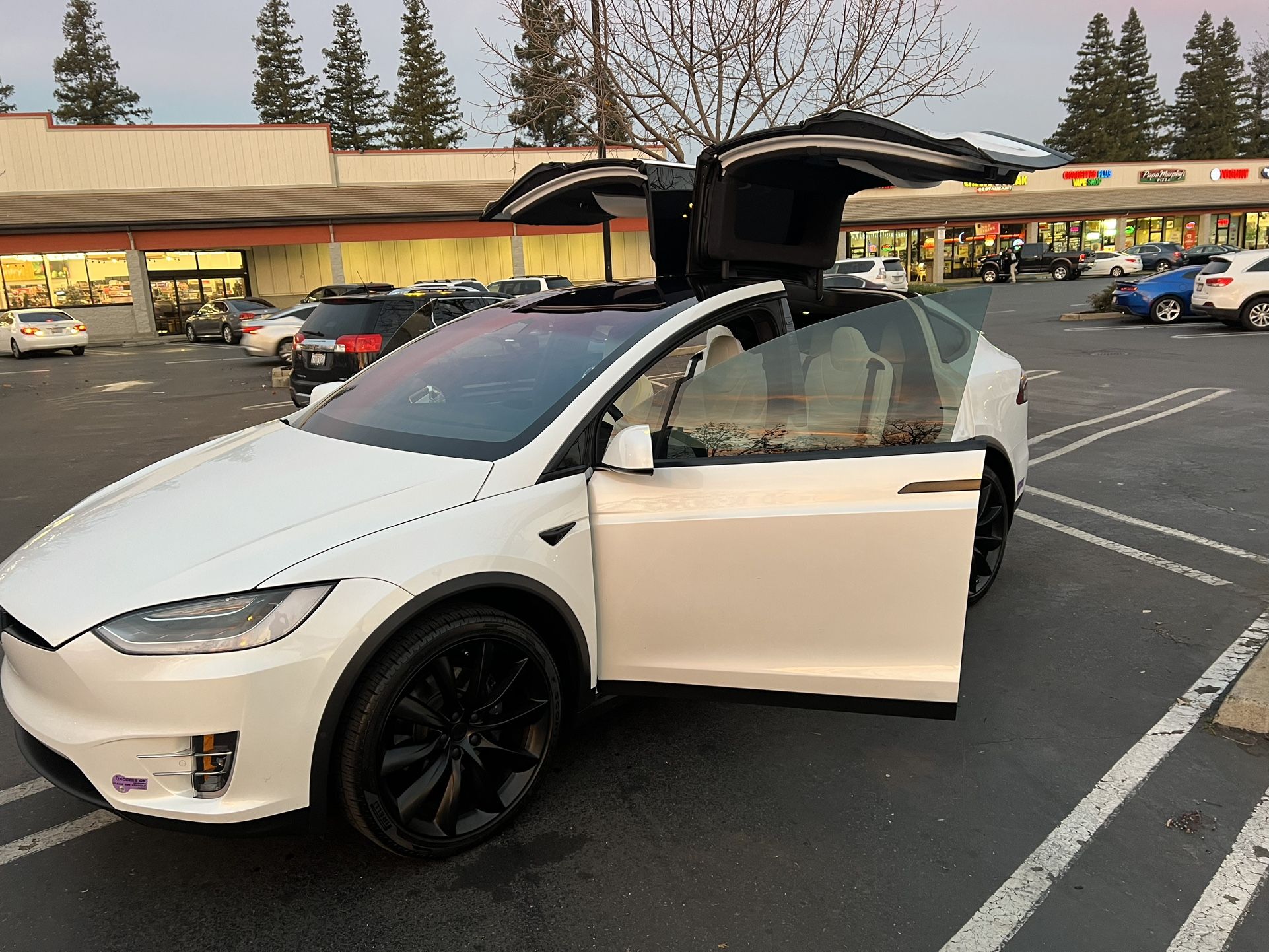 2019 Tesla Model X
