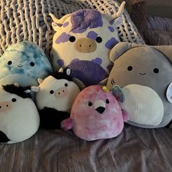 Squishmallow With Tags 