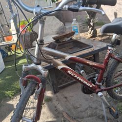 Schwinn Mountain Bike