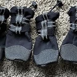 Pet Shoes