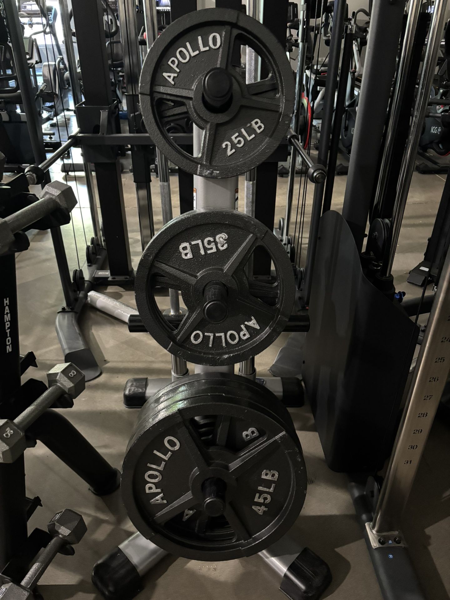 Olympic Weight Plates