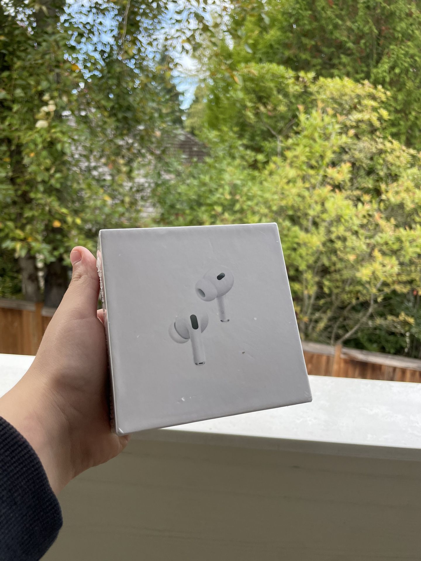 AirPods Pro2 (usb-c)