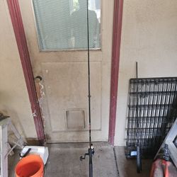 Spinning Rod
