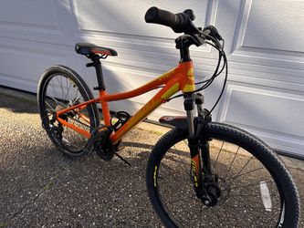 24” 21-speed Giant mountain bike