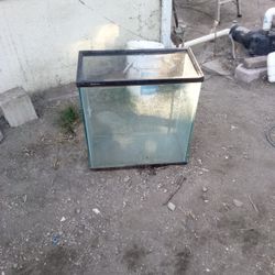 Glass Fish Tank