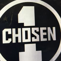 Frenchie Puppy For Sale