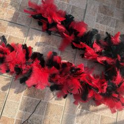 Red-black Boa
