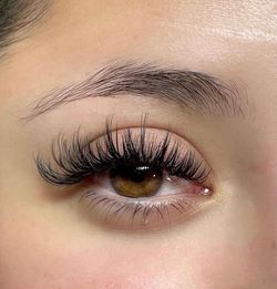 Liner