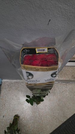 Flowers, Rosas