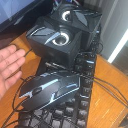 LED Computer Mouse And Speakers